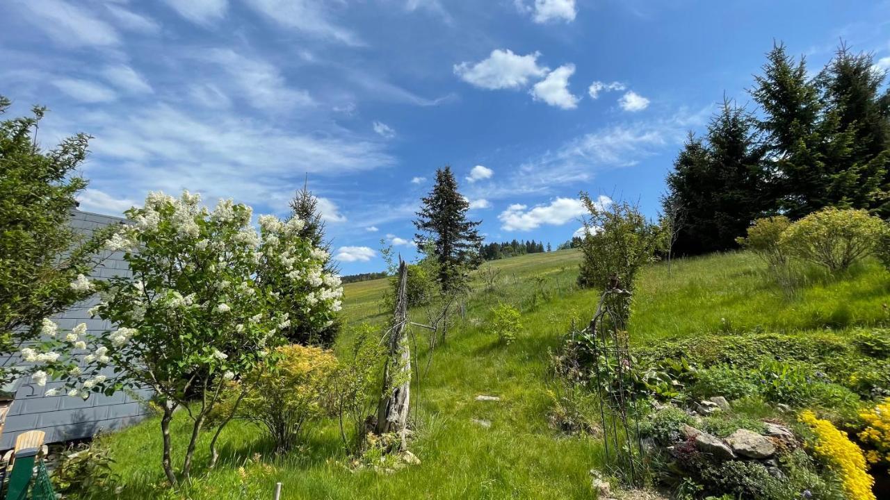 Fluegels Rebi-Baude Villa Rechenberg-Bienenmühle Eksteriør bilde