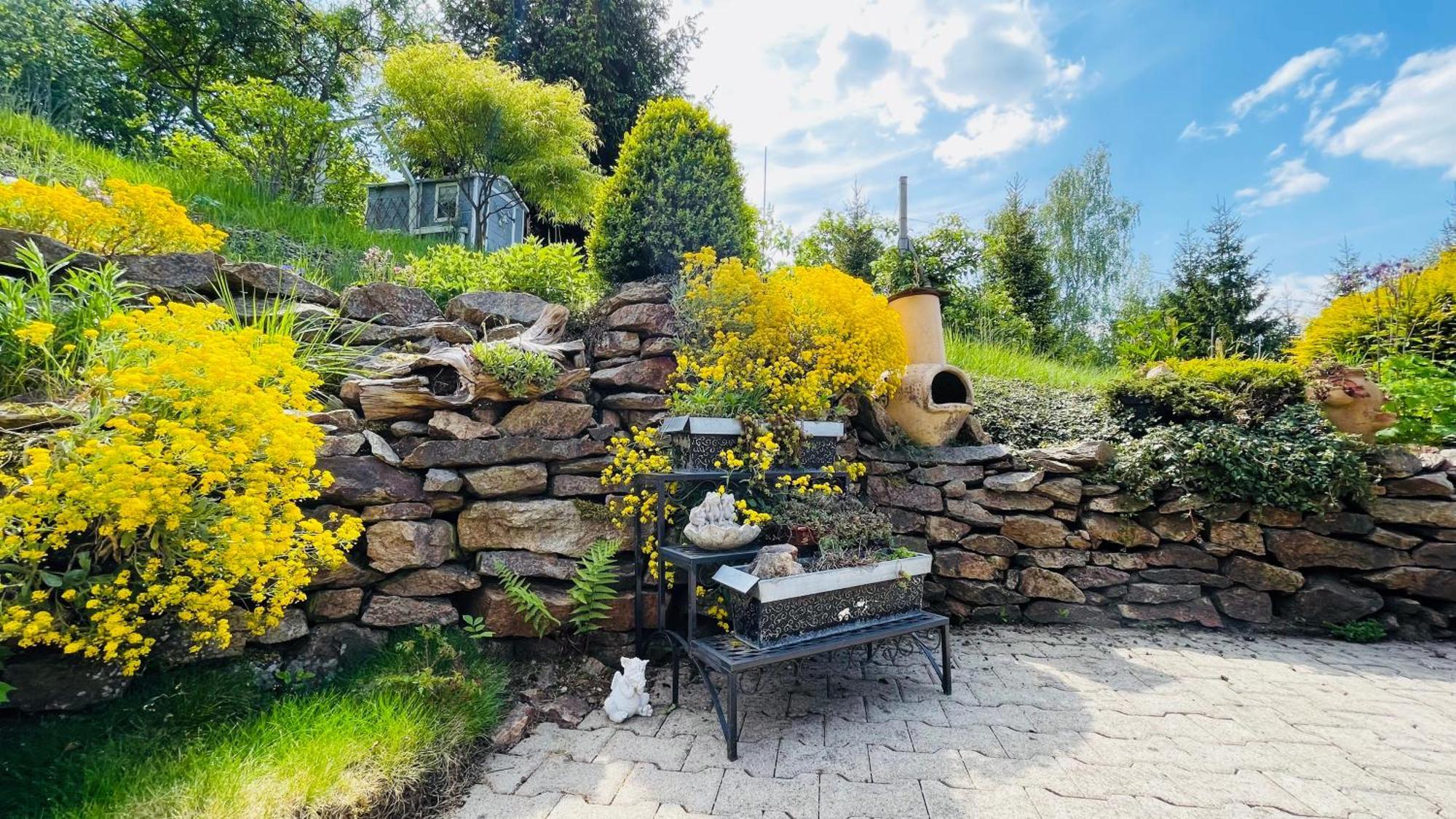 Fluegels Rebi-Baude Villa Rechenberg-Bienenmühle Eksteriør bilde