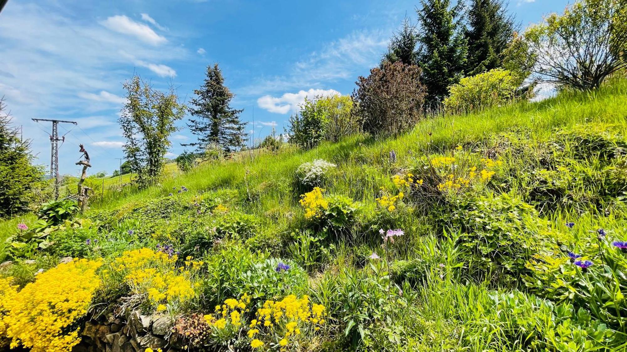 Fluegels Rebi-Baude Villa Rechenberg-Bienenmühle Eksteriør bilde