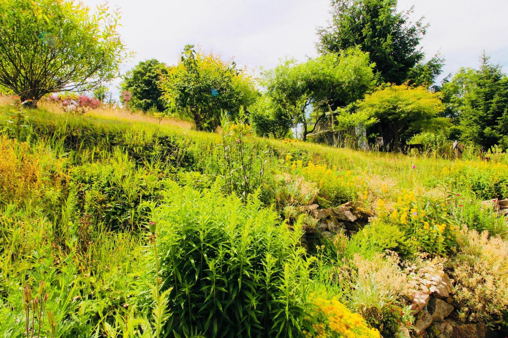 Fluegels Rebi-Baude Villa Rechenberg-Bienenmühle Eksteriør bilde